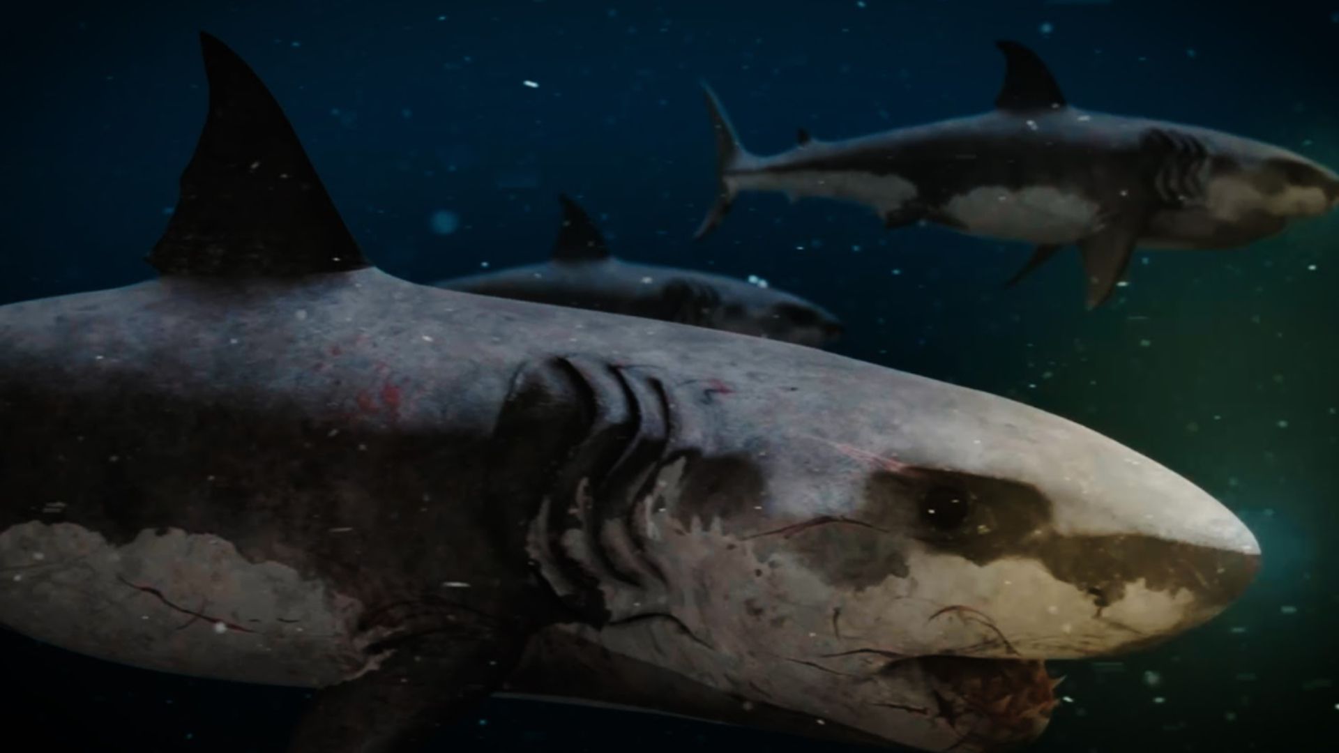 Hot Spring Shark Attack