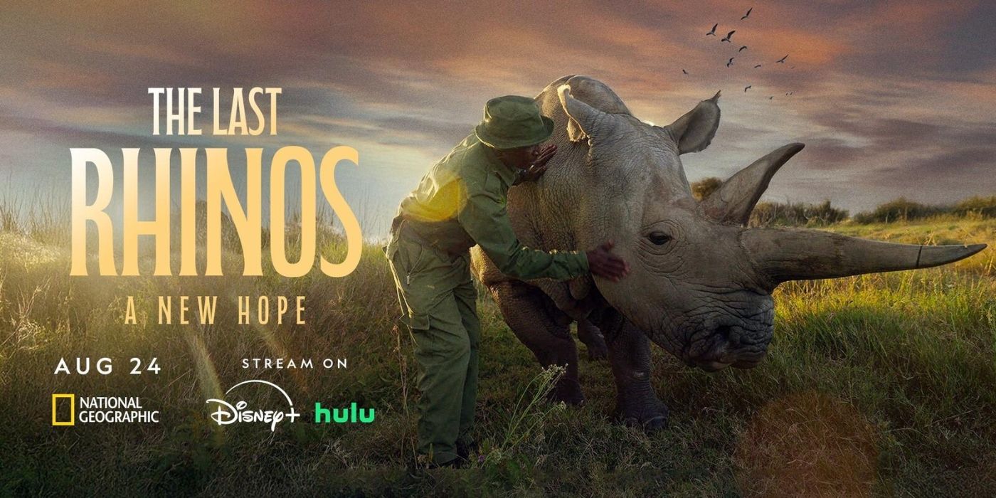 The cover art for The Last Rhinos: A New Hope