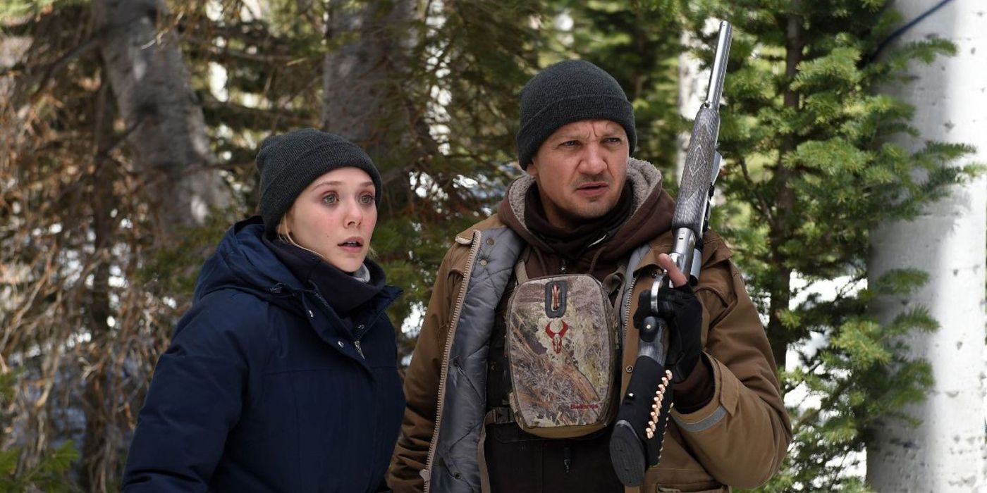 Taylor Sheridan's 'Wind River' Sequel: Release Date, Plot, & Cast