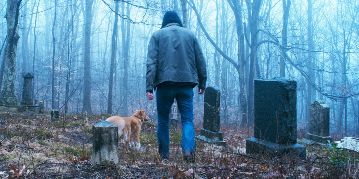 2025's Strange New Horror Movie 'Good Boy' Finally Getting Expanded Cinema Release