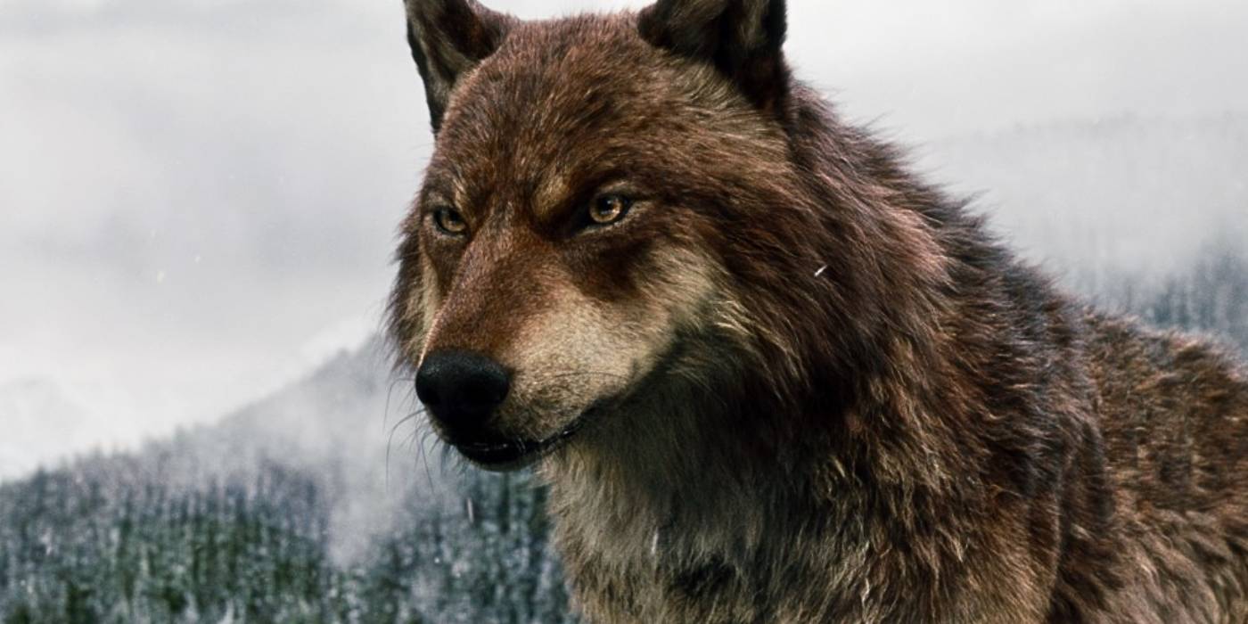 One of the Highest-Grossing Fantasy Franchises of All Time Is Headed Back to Theaters This Fall