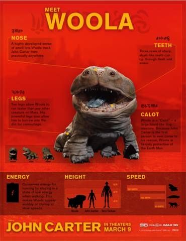 Woola Infographic
