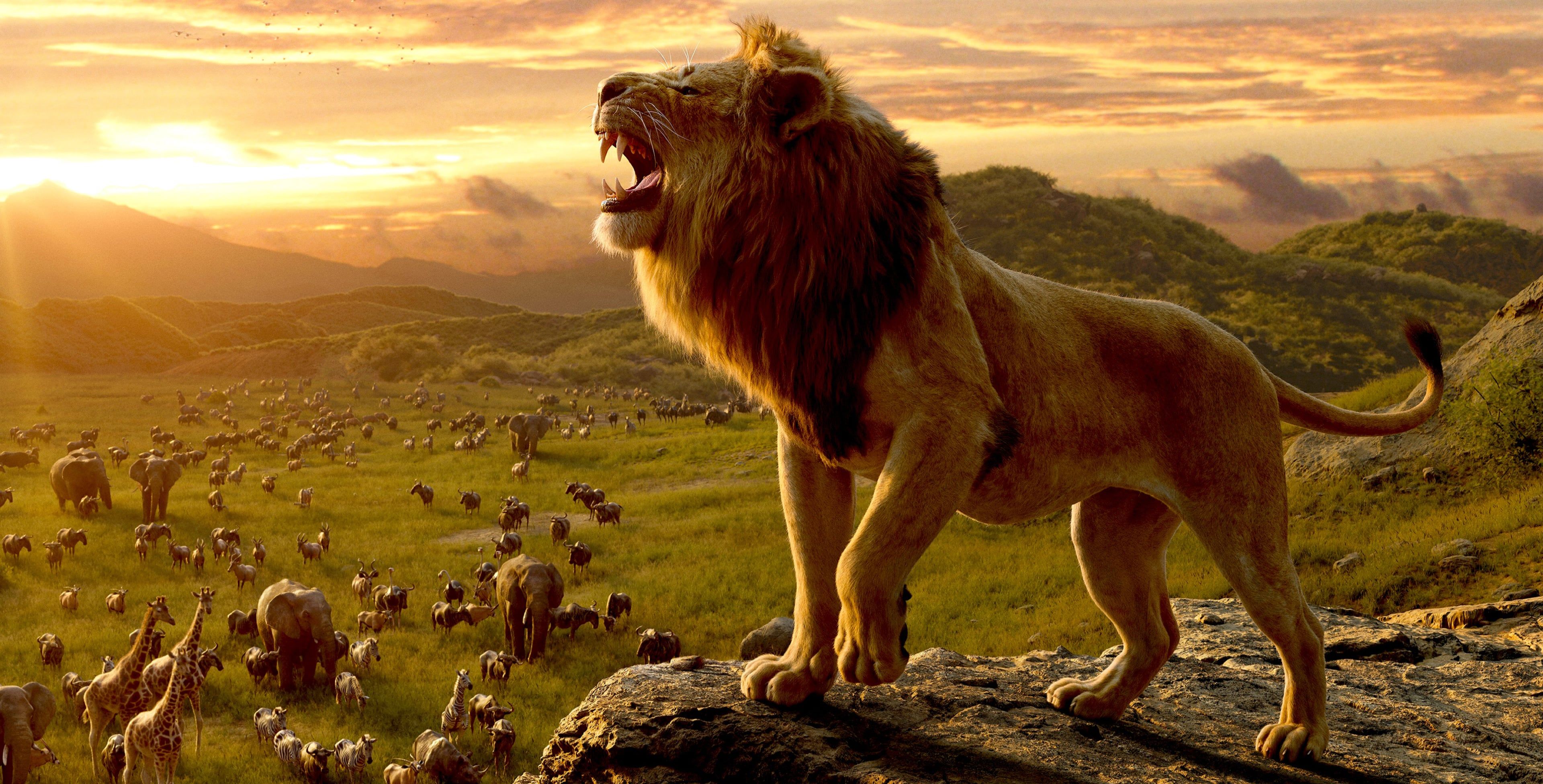 The Lion King 2019 on Disney Plus January 2020