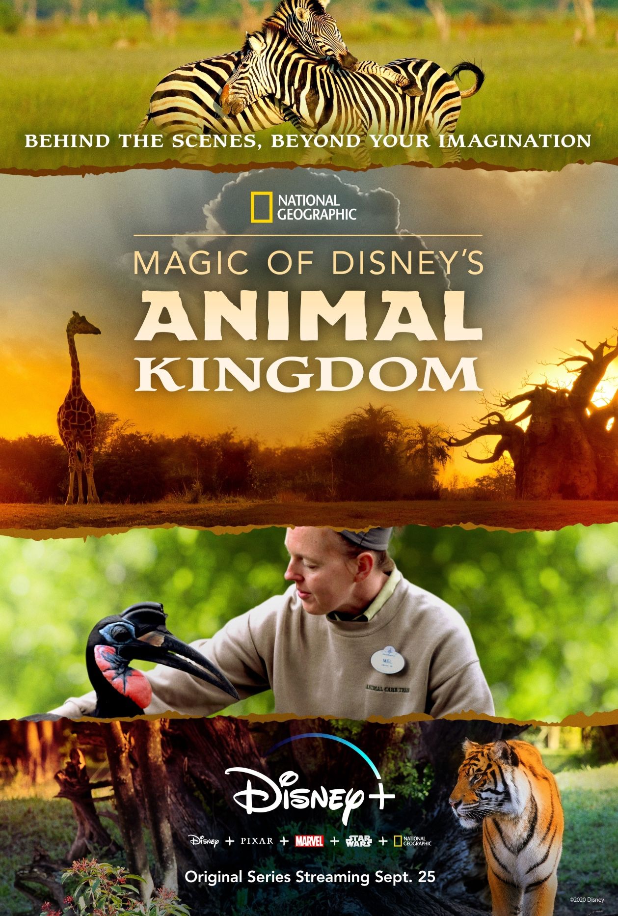 Magic of Disney's Animal Kingdom poster