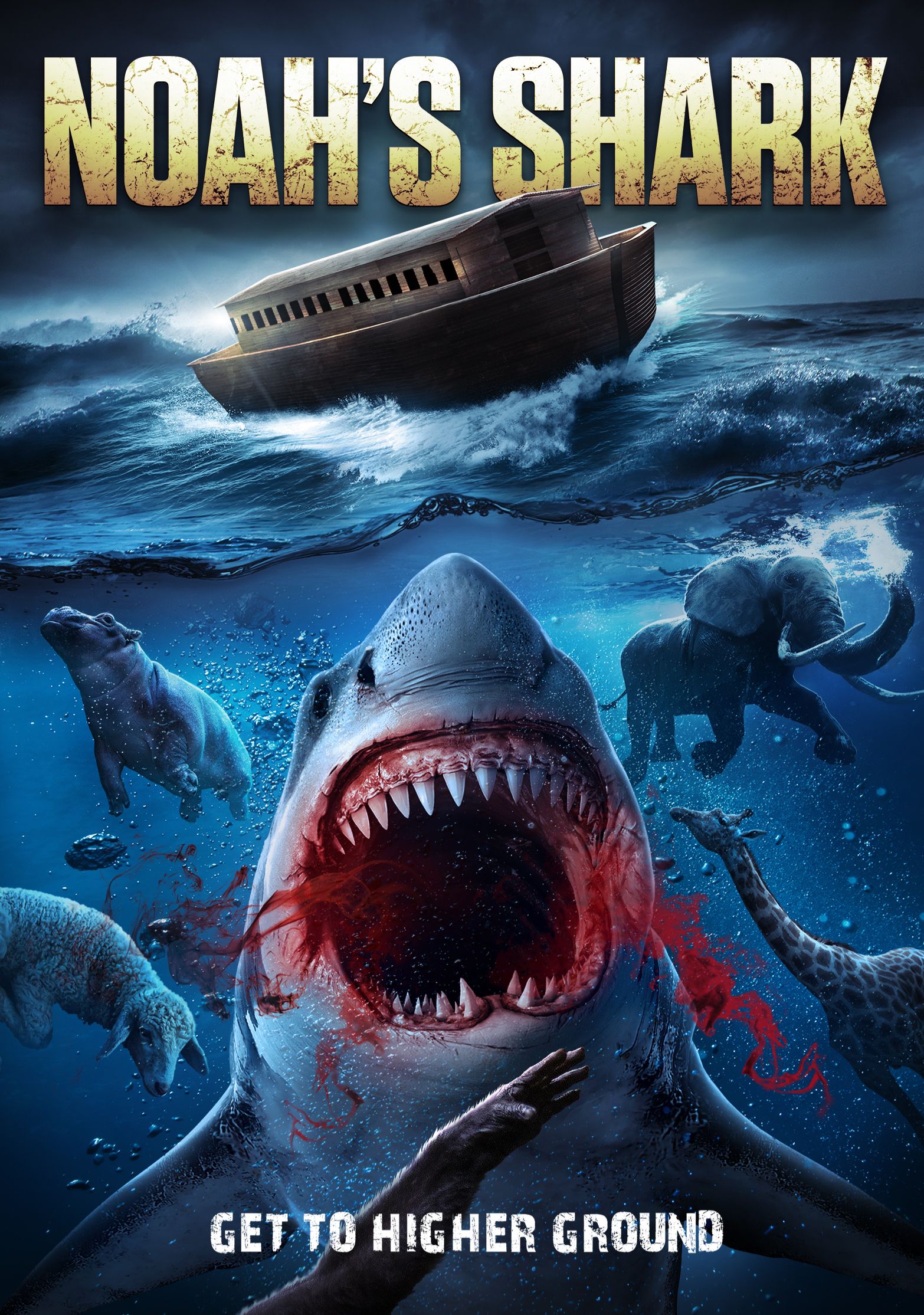 Noah's Shark poster