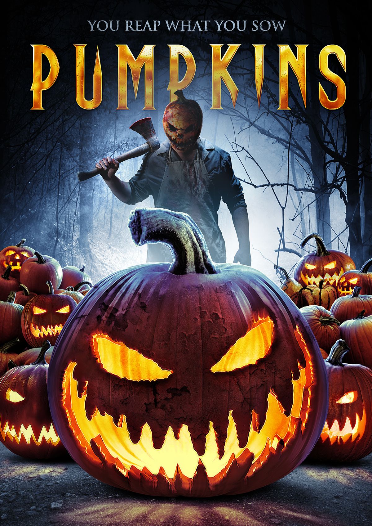 Pumpkins 2019