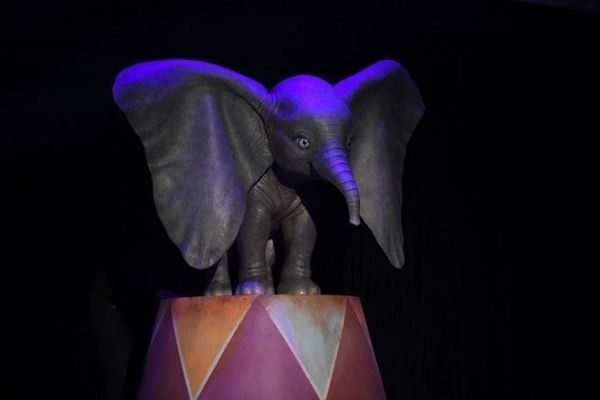 Dumbo the elephant first look photo