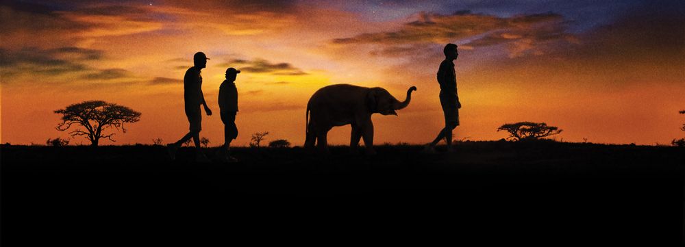 Naledi: A Baby Elephant's Tale - Netflix