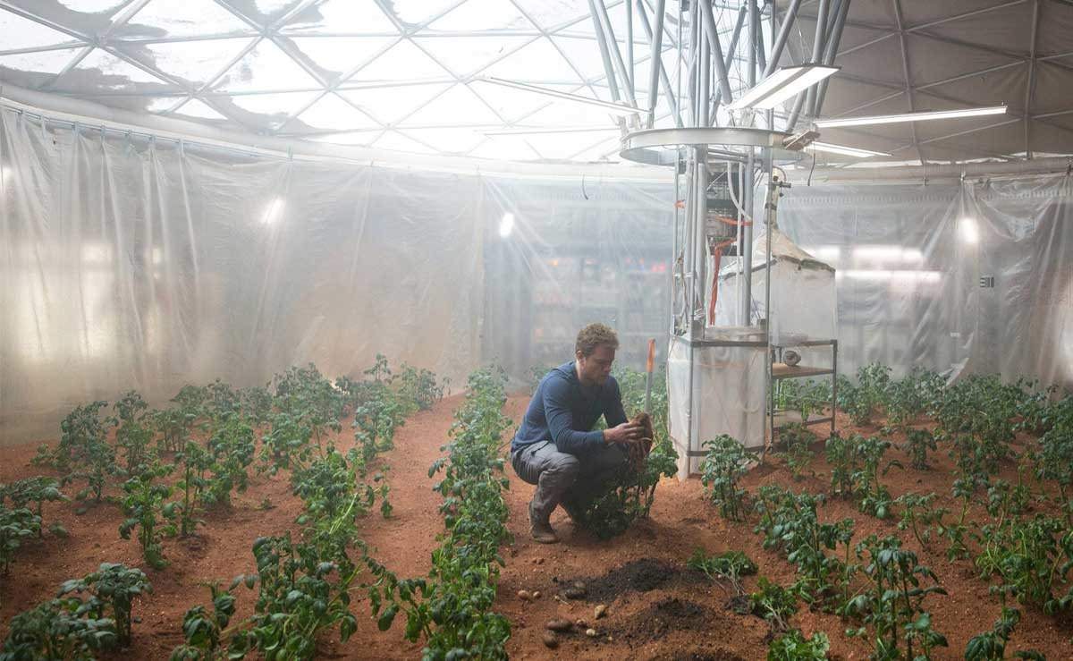 Matt Damon plants poop potatoes in The Martian
