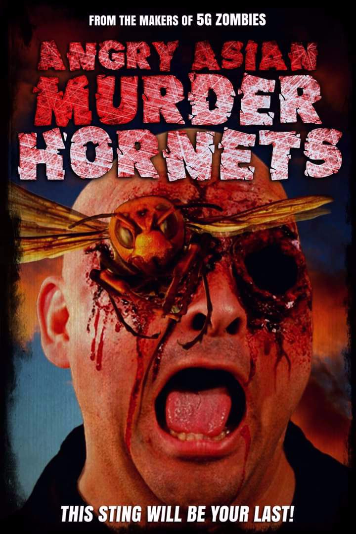 Angry Asian Murder Hornets poster