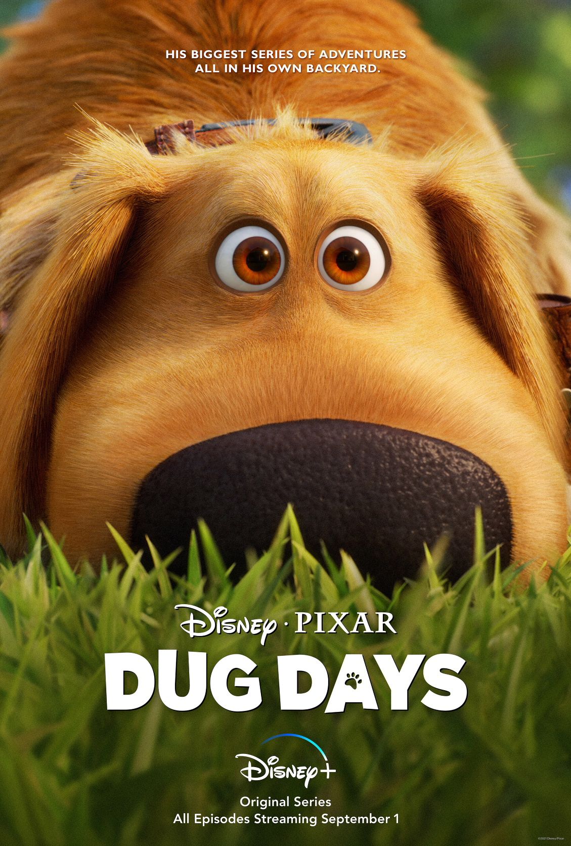 Dug Days poster