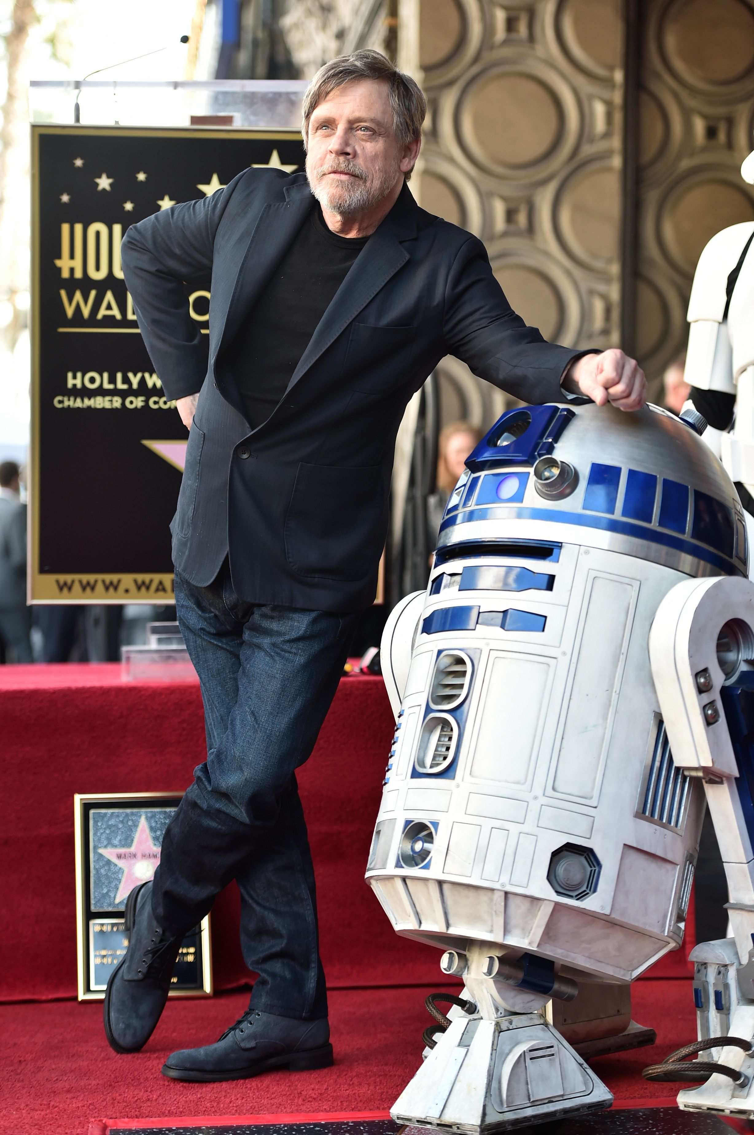 Mark Hamill Hollywood Walk of Fame