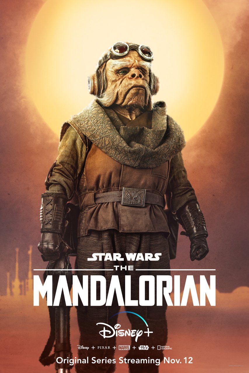 The Mandalorian Character Poster #5