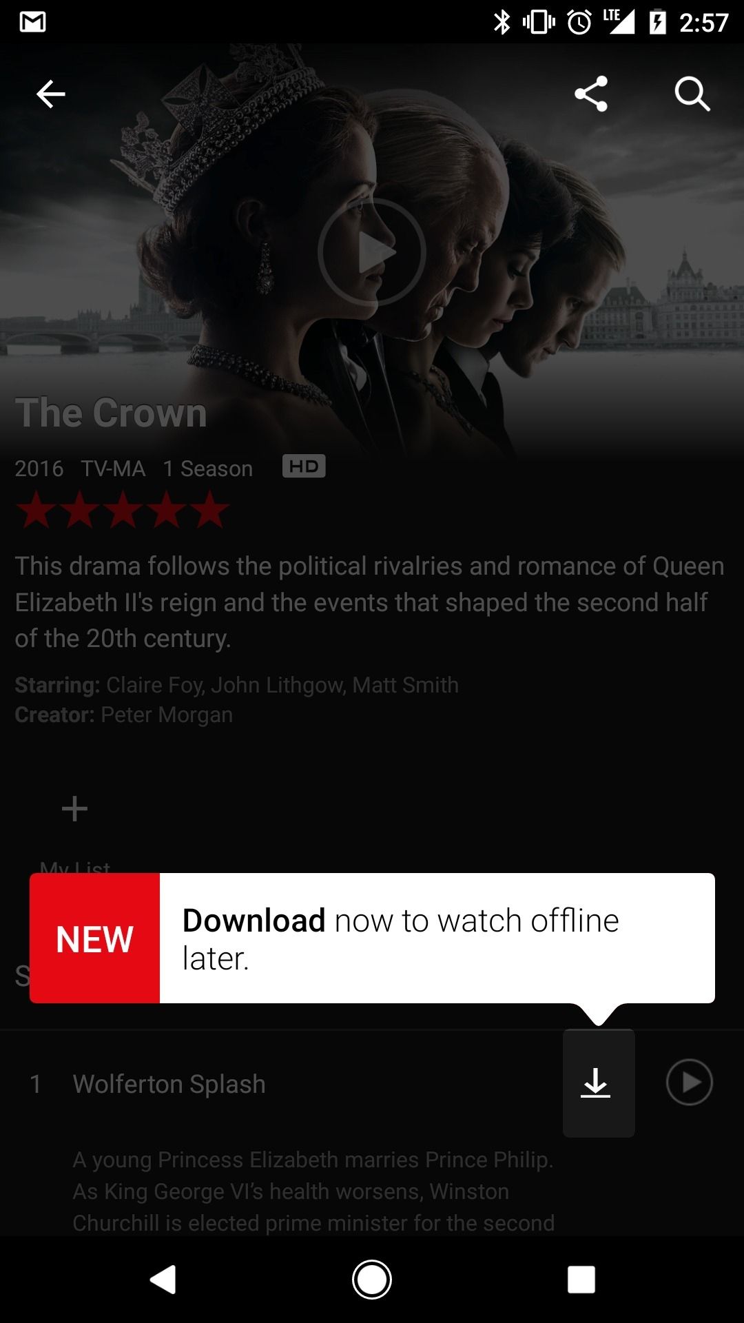 Netflix Download Offline Viewing