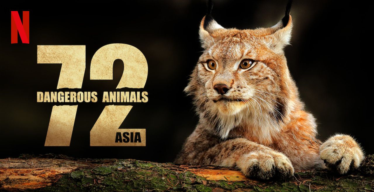 72 Dangerous Animals, Asia - Netflix