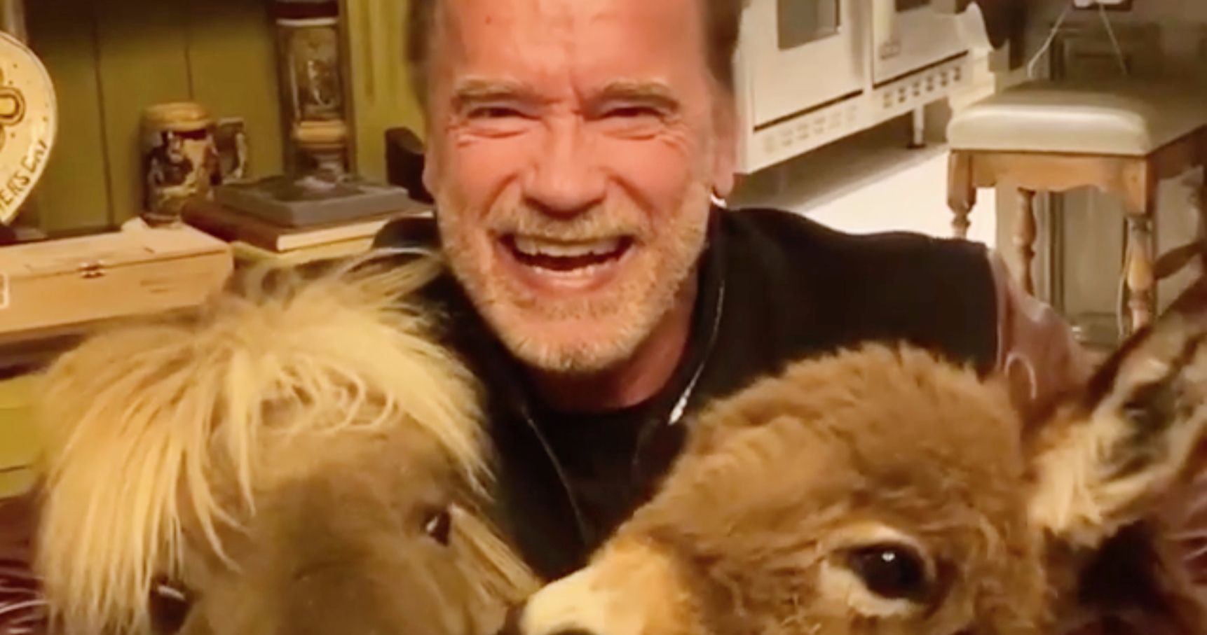 Arnold Schwarzenegger Donates $1 Million to Frontline Responders