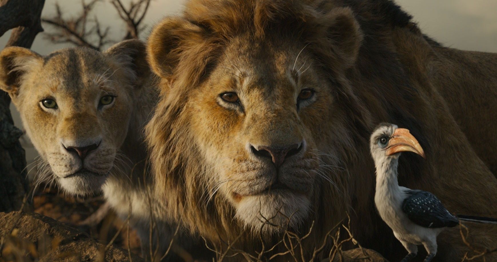 Lion King Remake Is Disney's Biggest Hit That Isn't Marvel or Star Wars