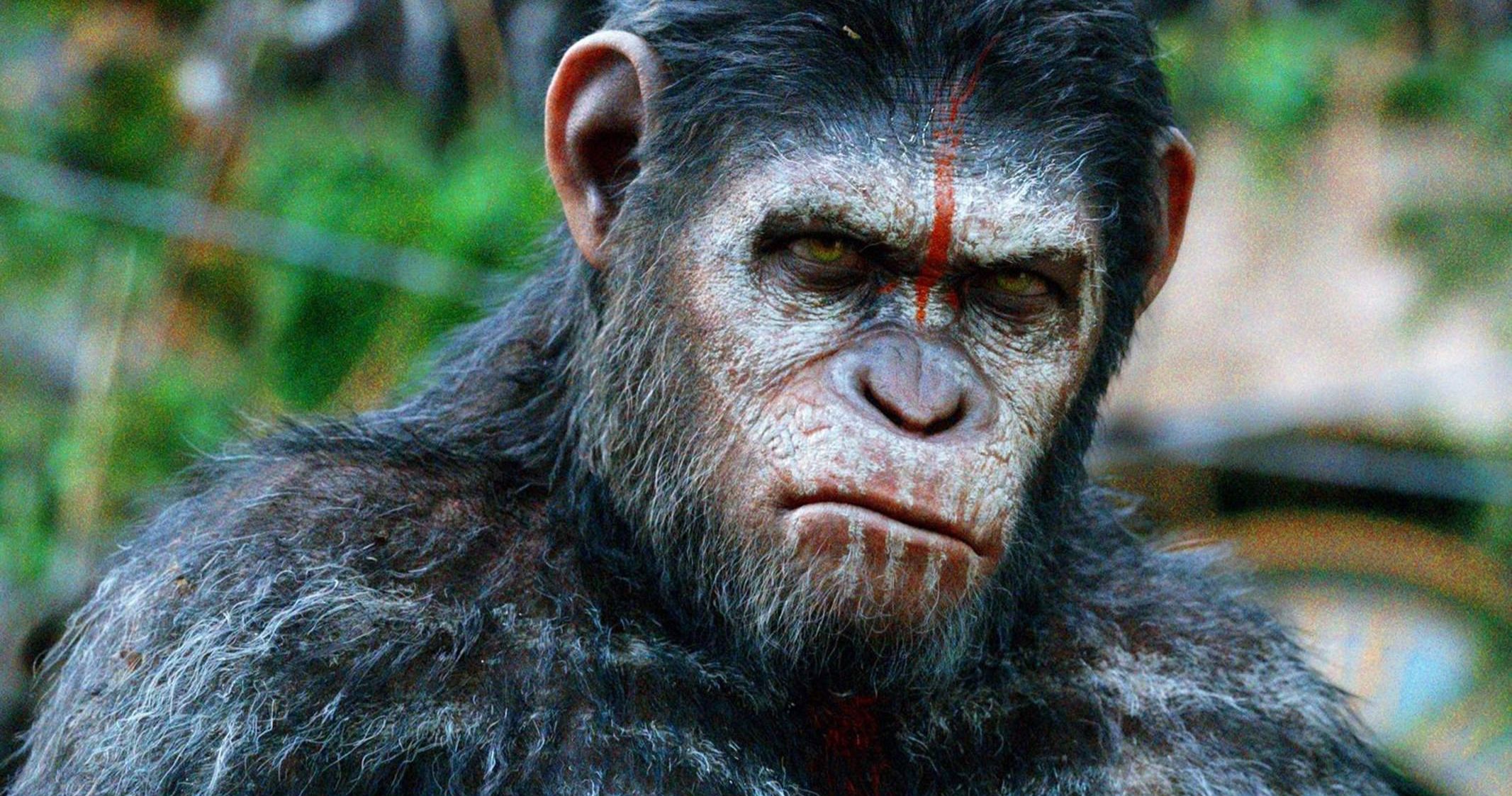 Disney's Planet of the Apes Movie Continues Caesar's Legacy, So It's Not a Reboot?