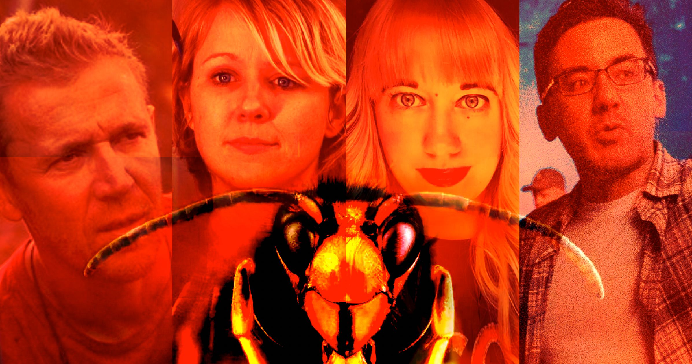 Murder Hornets the Movie: 7 Directors Who Would Be Perfect