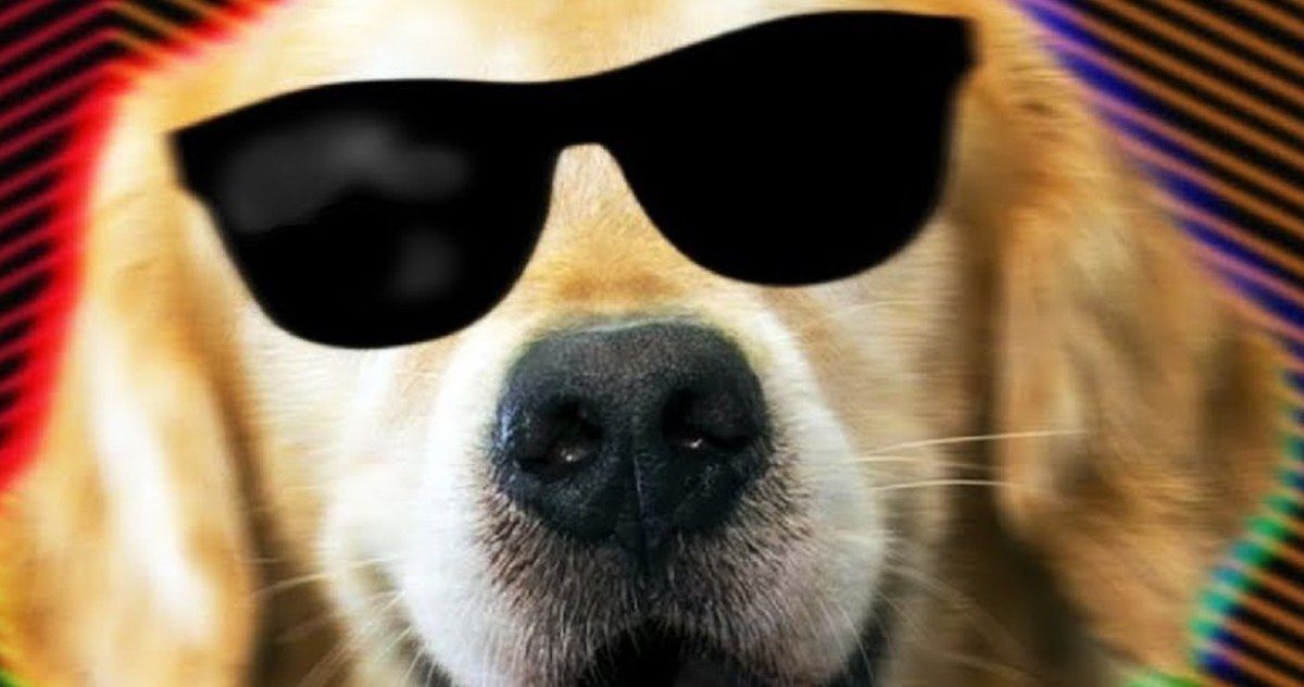 Air Bud Rap Gives an Epic Shout Out to All 14 Movies