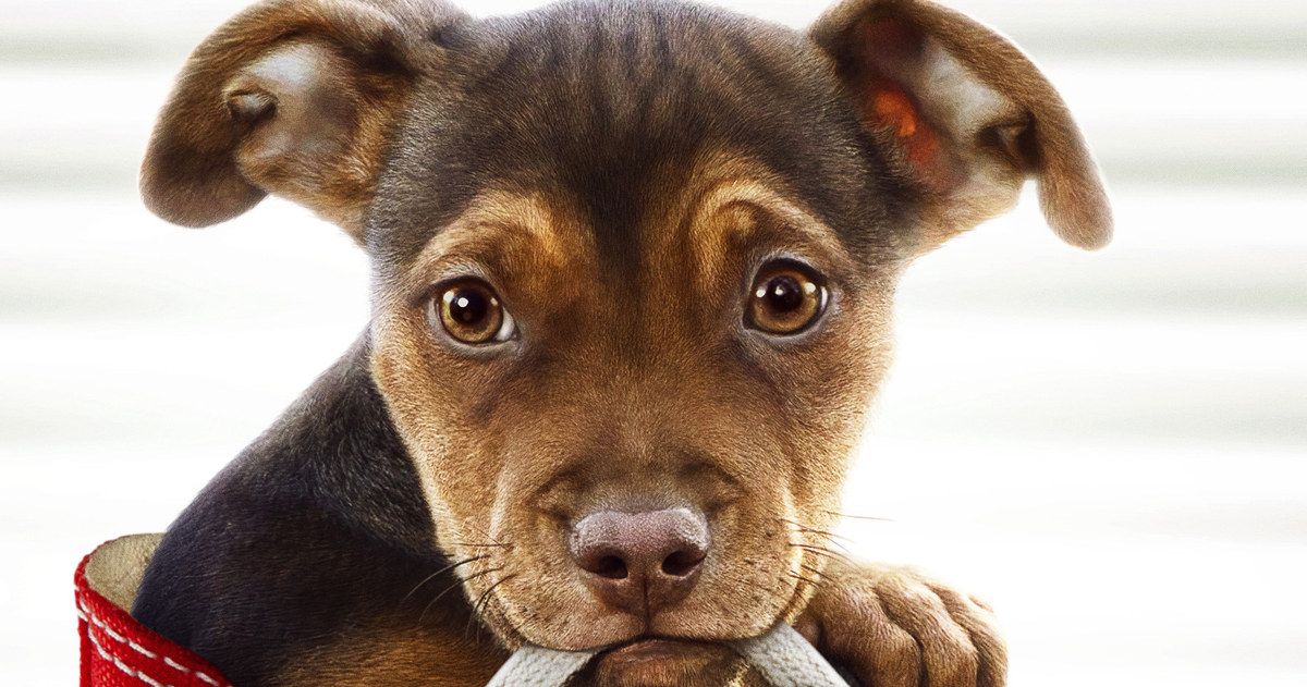 A Dog's Way Home Trailer Sends an Adorable Mutt on a Crazy Adventure