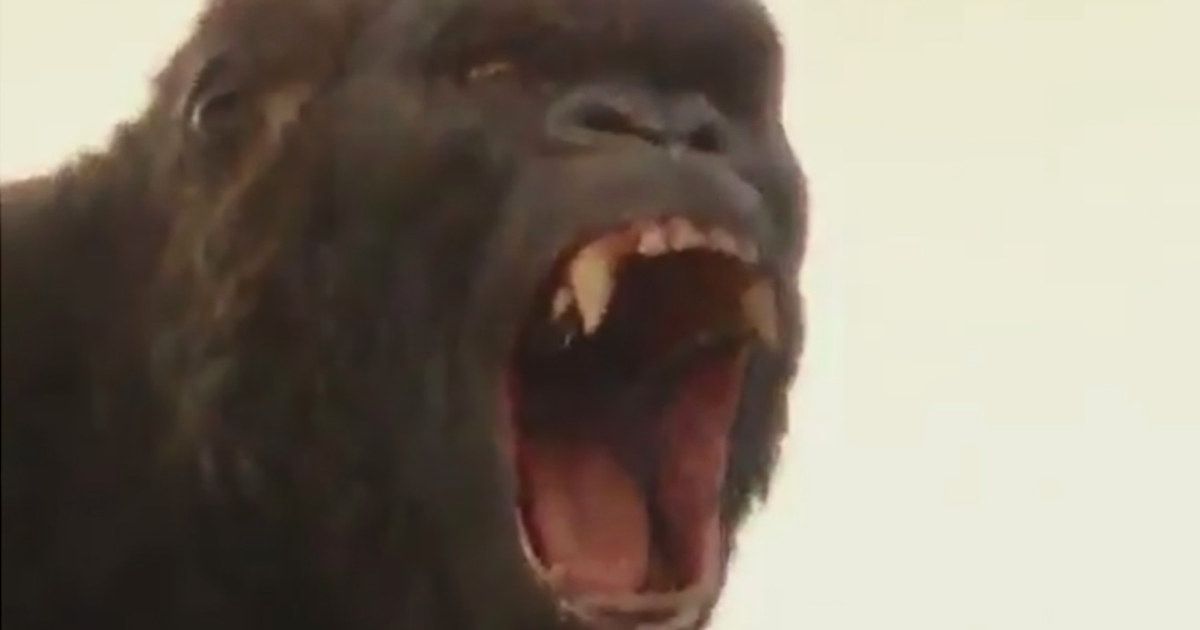 Kong: Skull Island Preview Counts Down to New Trailer