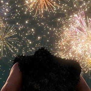 The Croods Family Fireworks Photo