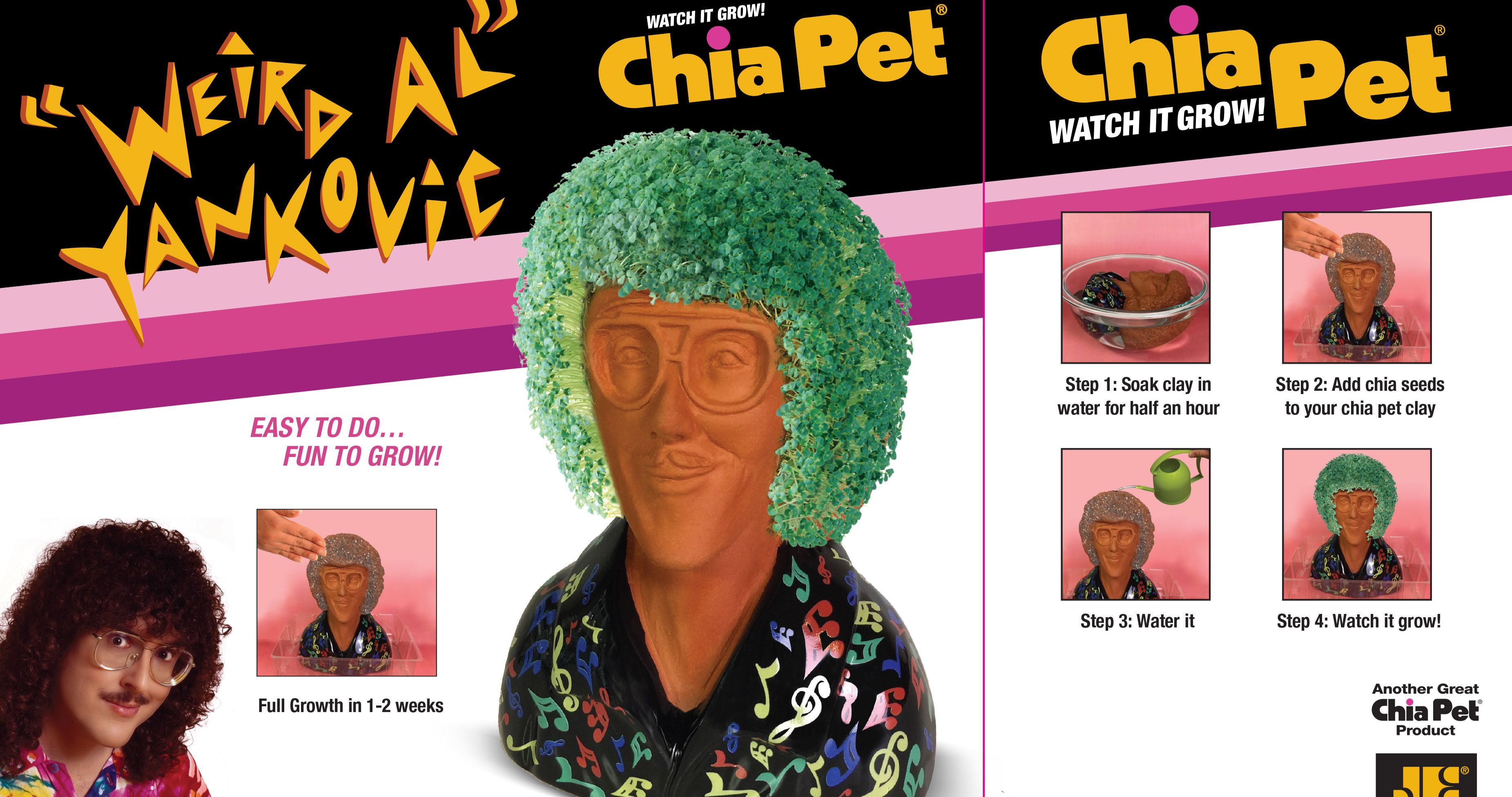 Weird Al Yankovic Chia Pet Arrives, Changing In-Home Gardening Forever
