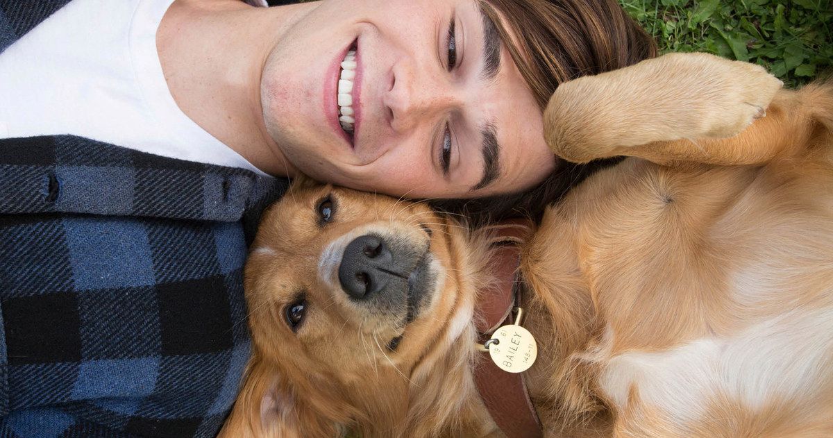 A Dog's Purpose 2 Is Happening Thanks to Strong Chinese Box Office