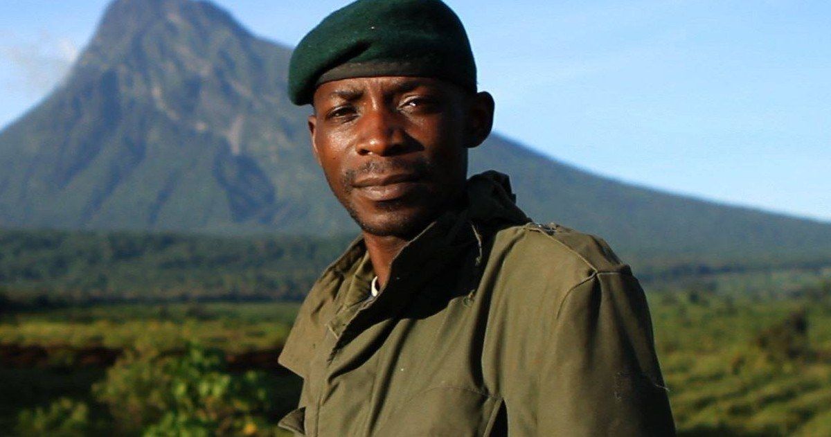 Netflix and Leonardo DiCaprio Team Up for Virunga Documentary