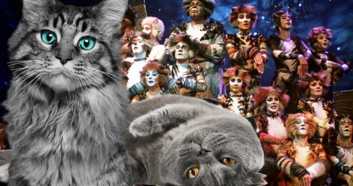 Cats Cast Will Be Cat-Sized in Feline Movie Musical