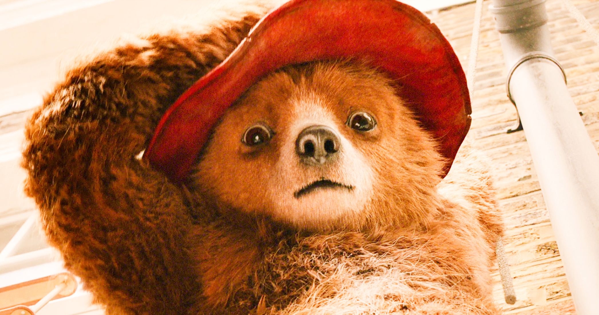 Paddington 2 Loses Top Spot at Rotten Tomatoes After New Negative Review Emerges