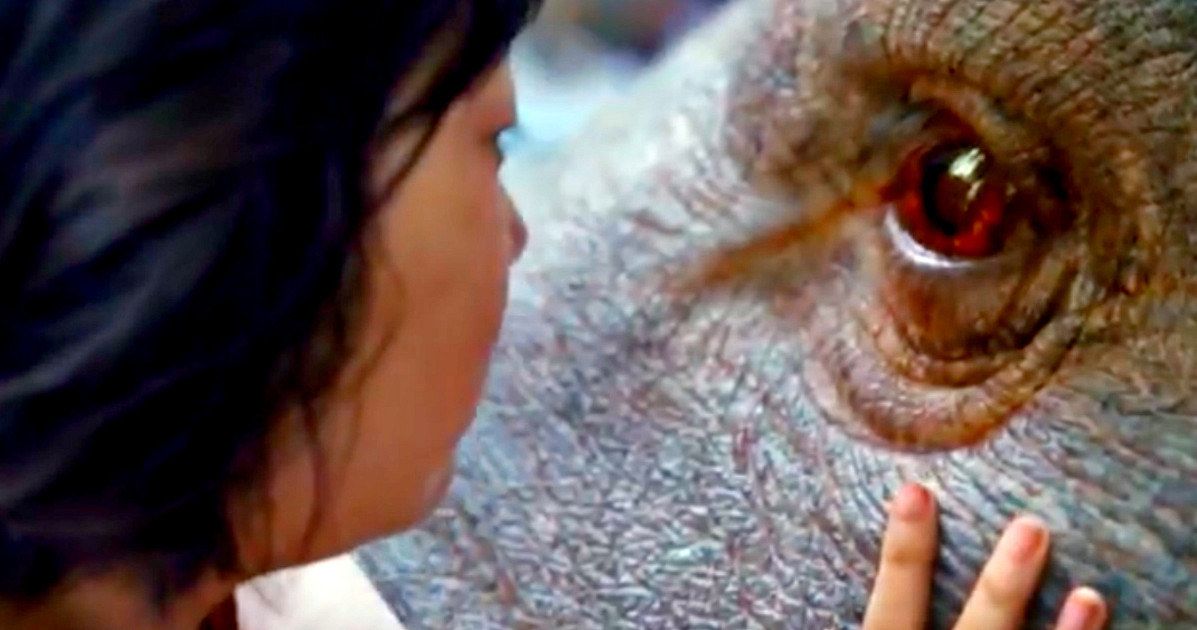 Netflix's Okja Trailer: Tilda Swinton Creates a Fantastic New Animal