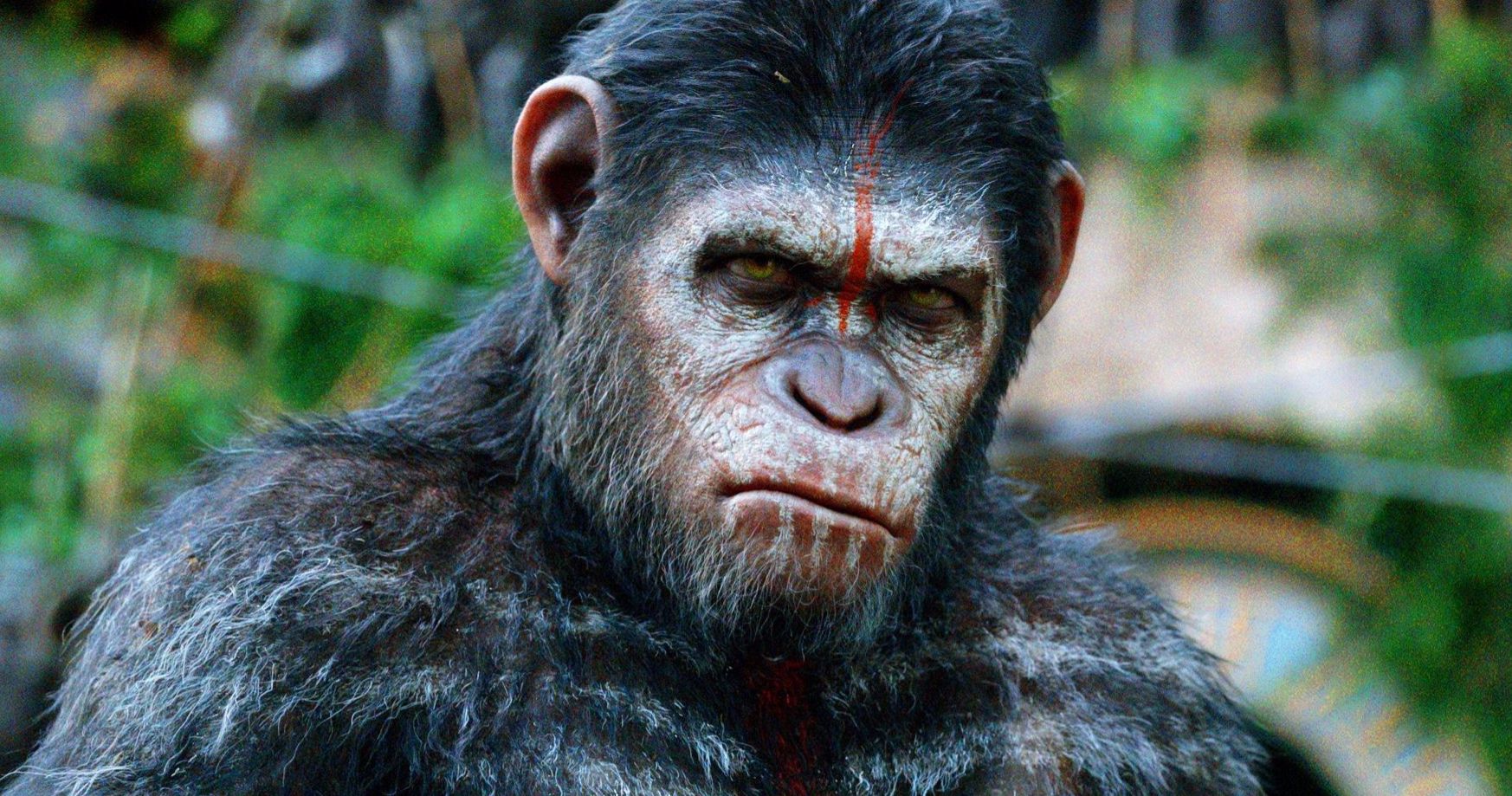 New Planet of the Apes Movies Planned at Disney, Will Be a Continuation of the Saga