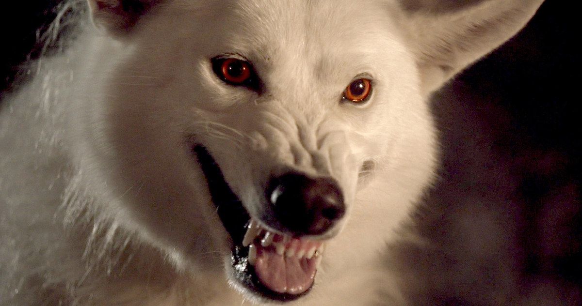 Where Was Ghost in Last Week's Game of Thrones Episode?