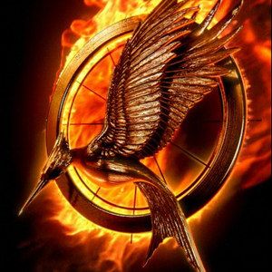 The Hunger Games: Catching Fire Motion Poster