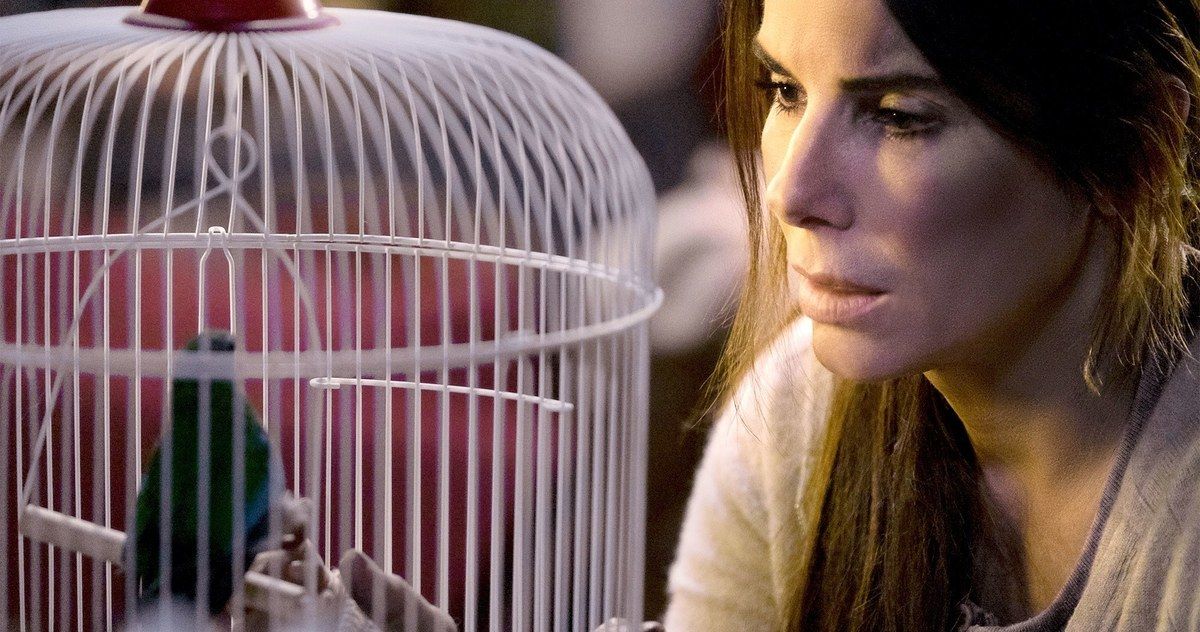 Netflix Warns Fans Against Doing Dangerous Bird Box Challenge