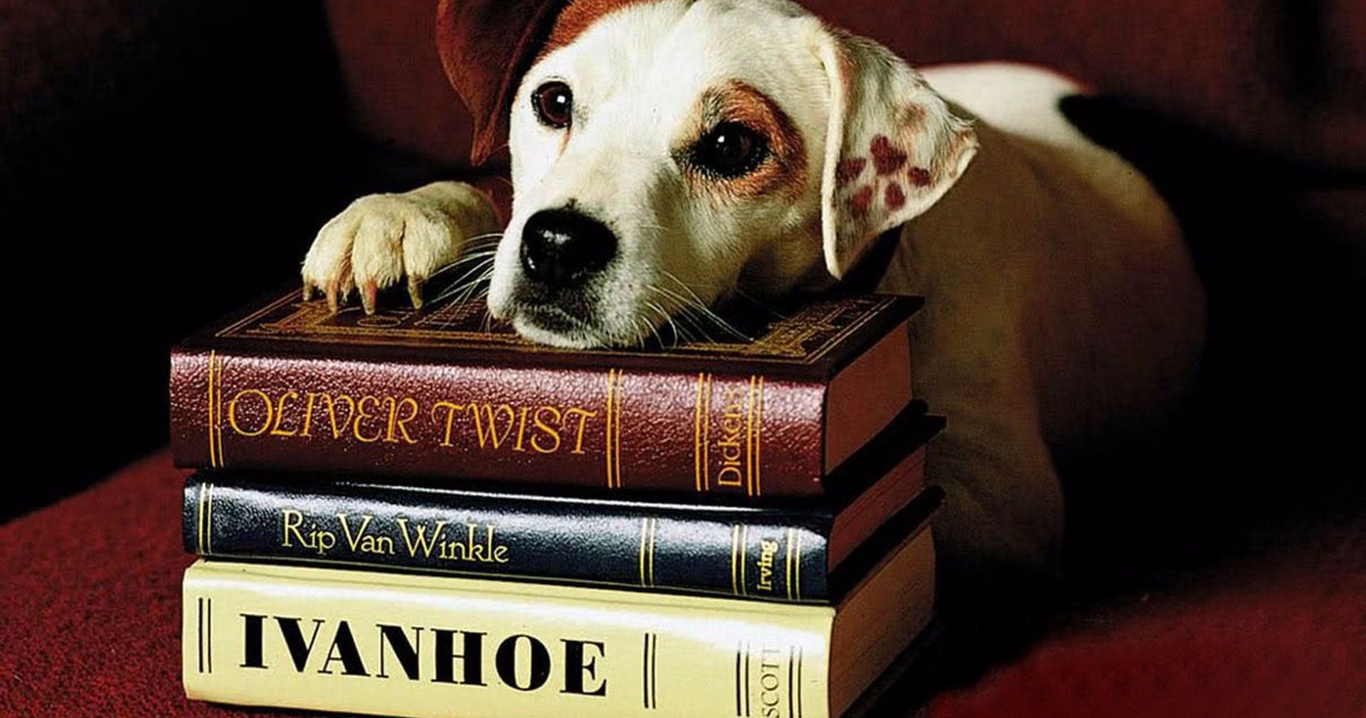 Wishbone Movie Is Coming from Mattel, Universal and Peter Farrelly