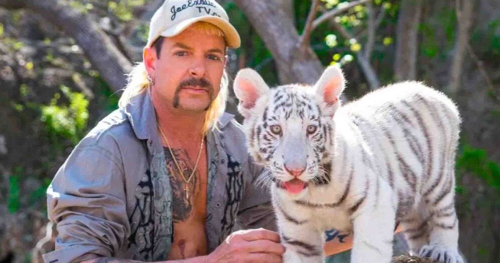 Joe Exotic's Tiger Team Is So Sure of Pardon, They Have a Stretch Truck Limo Waiting