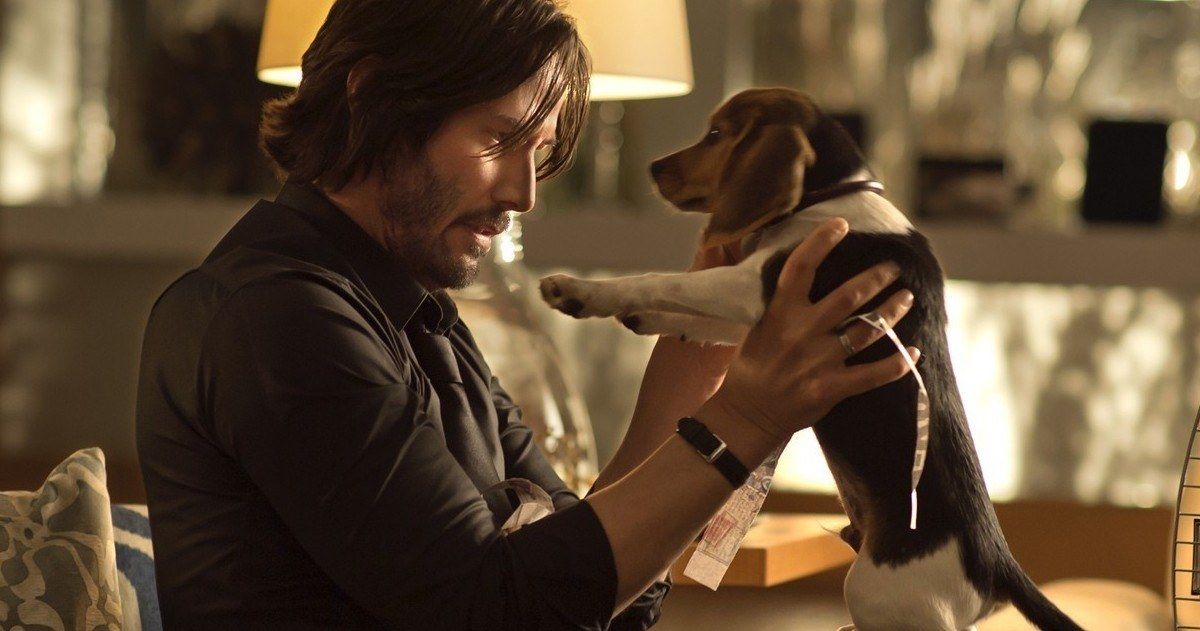 Is John Wick 3 Getting Ready to Kill Off 2 More Dogs?