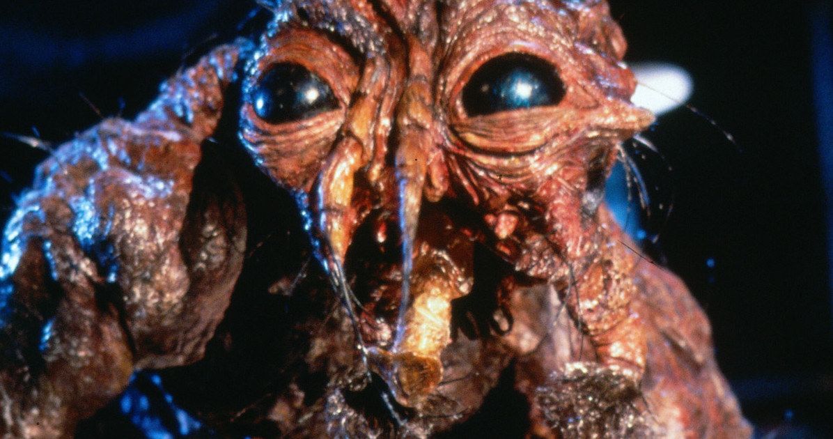 The Fly Remake Happening with Sleight Director J.D. Dillard