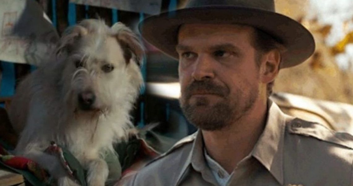 Stranger Things: David Harbour Wanted the Byers' Family Dog to Be Killed Off in Season 2