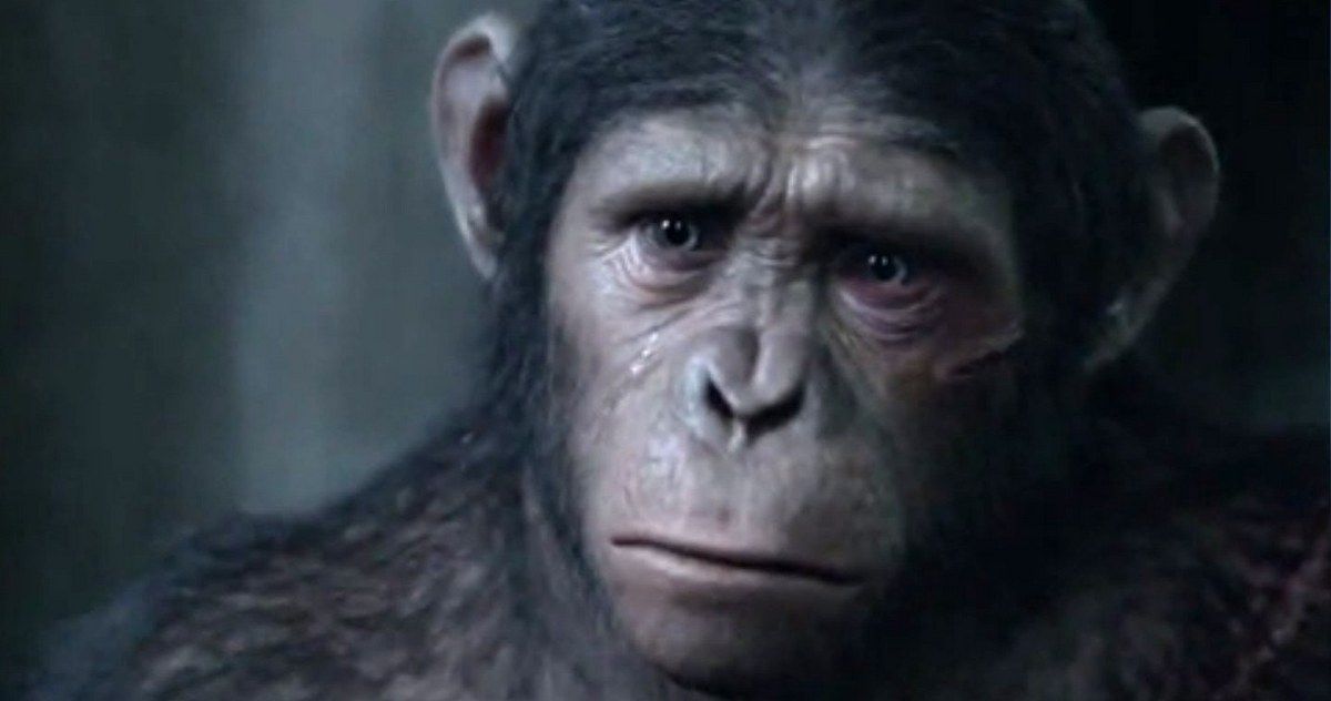 Caesar Speaks in Dawn of the Planet of the Apes Extended TV Spot