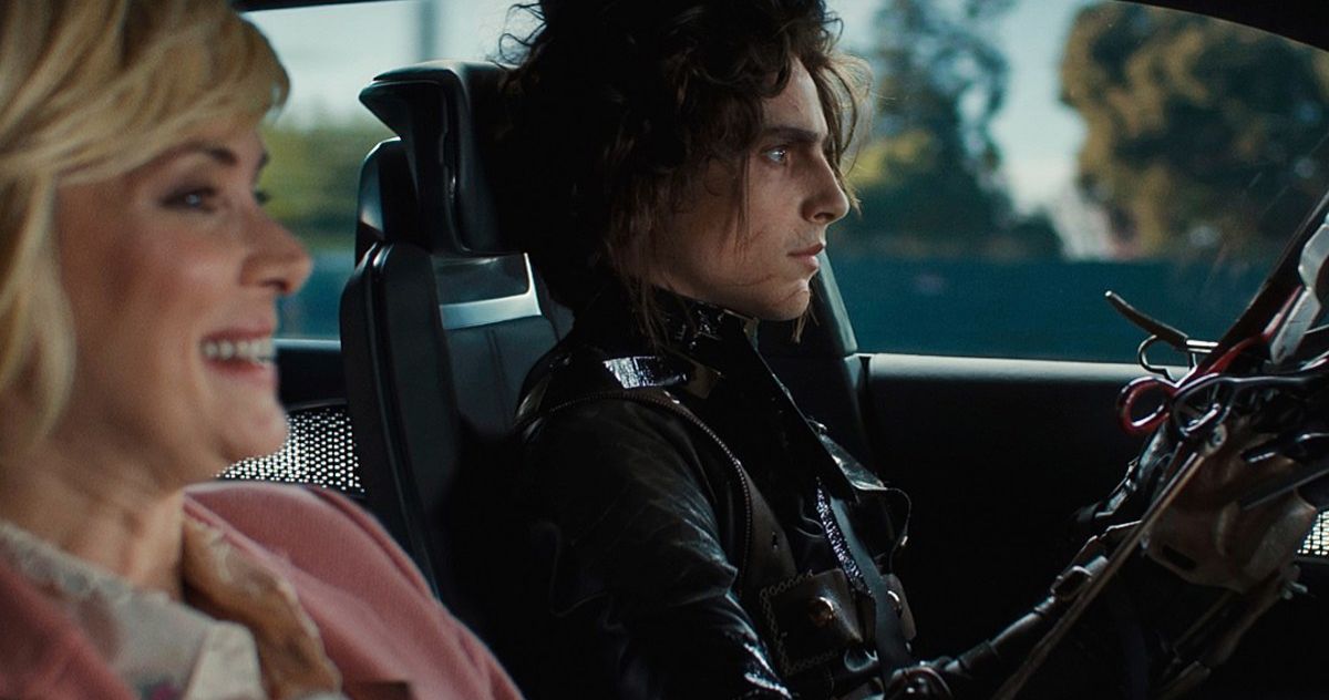 Timoth&#233e Chalamet Fans Want Him to Star in an Edward Scissorhands Reboot