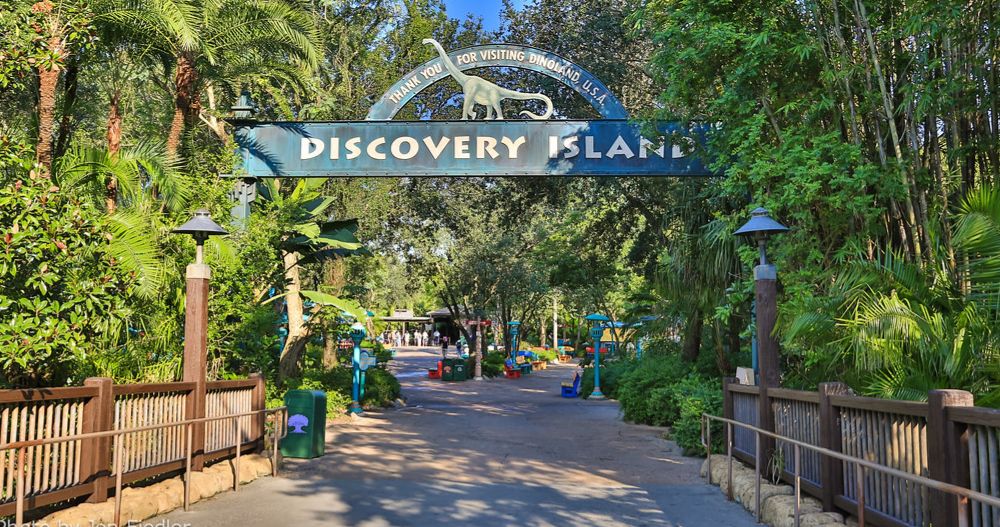 Discovery Island Crasher Gets 100 Fine And Lifetime Ban From Disney World