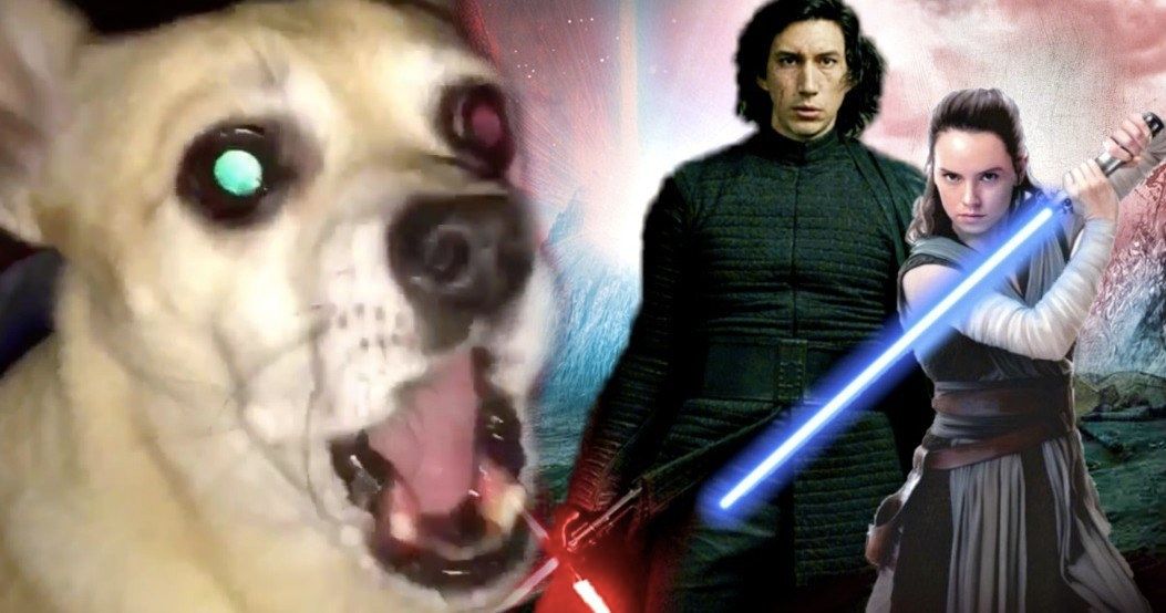 Even This Dog Hates The Last Jedi