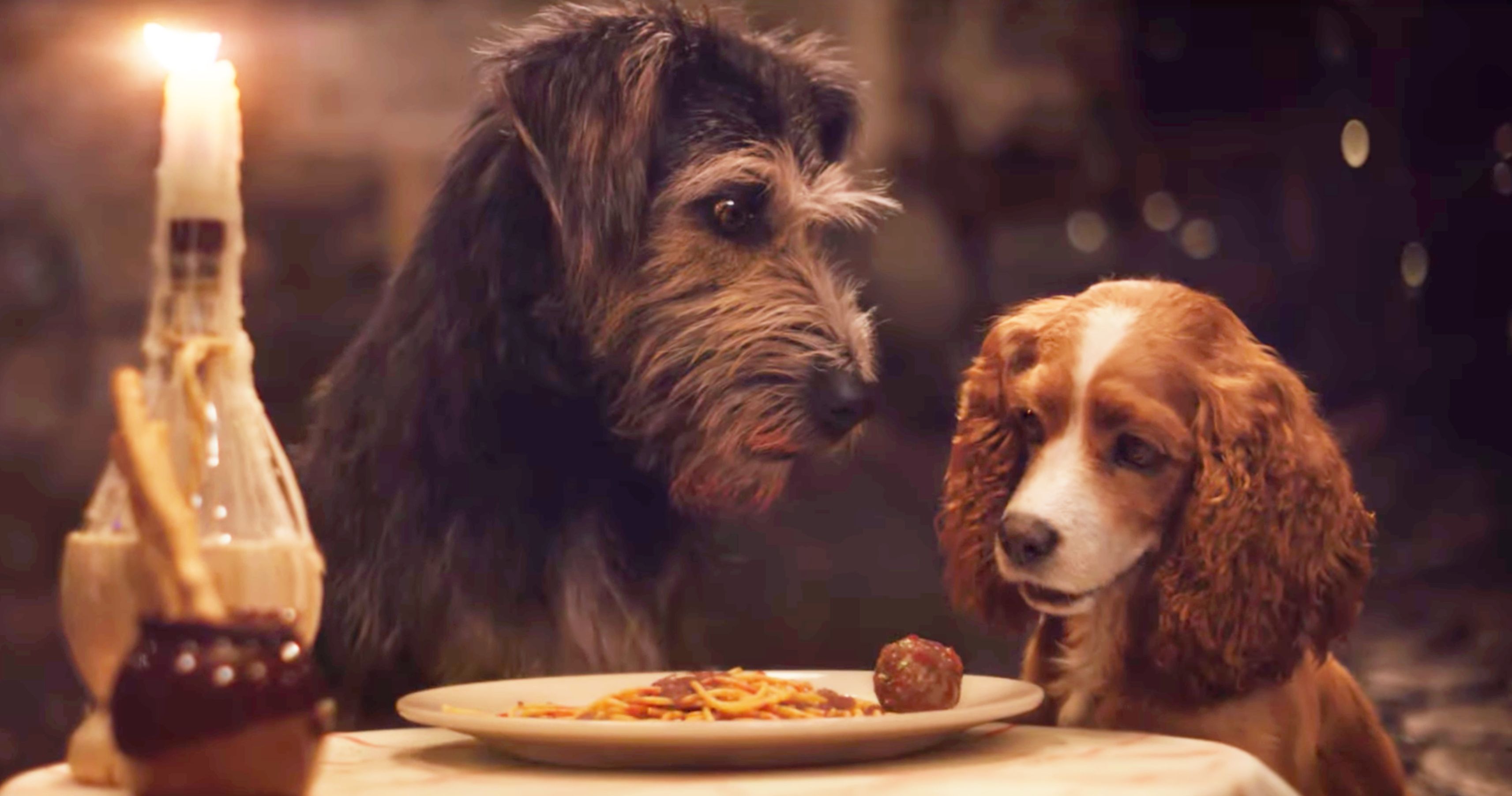 Disney+'s Live-Action Lady and the Tramp Trailer #2 Arrives