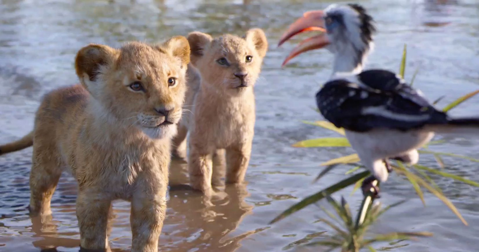 The Lion King Early Reactions Has Jon Favreau Made A True Disney Masterpiece