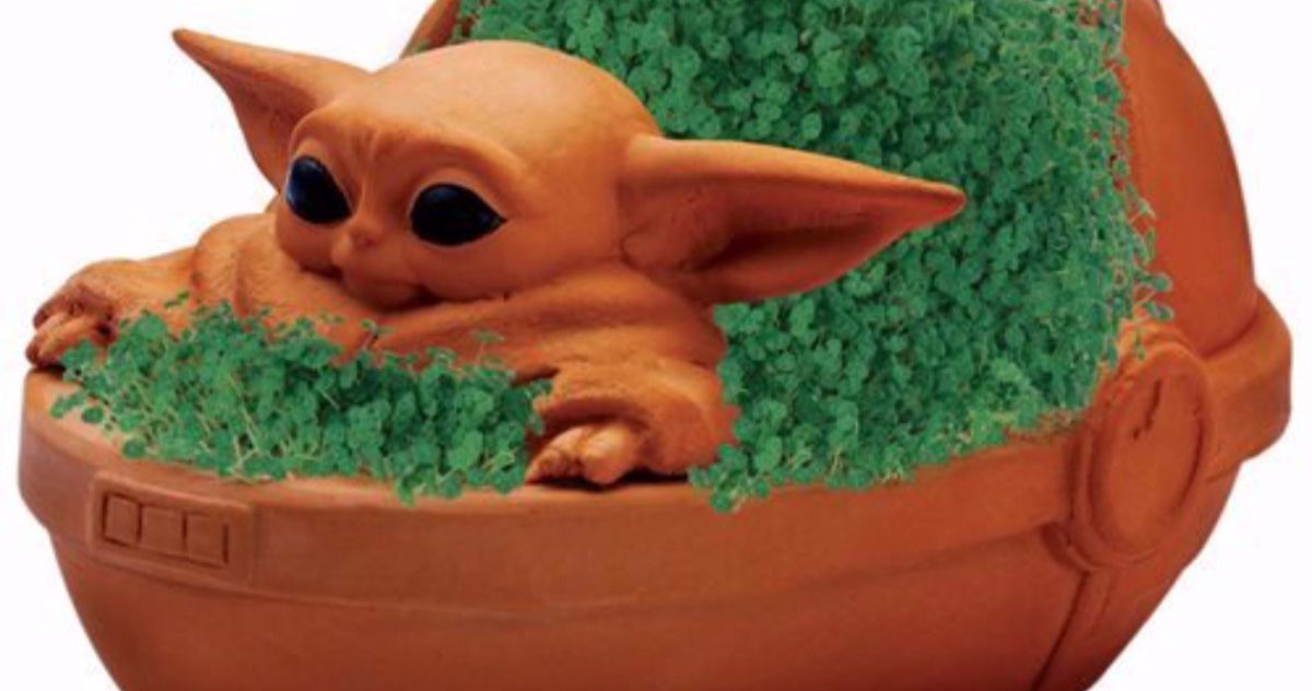 Baby Yoda Chia Pet Is Now Available for Pre-Order
