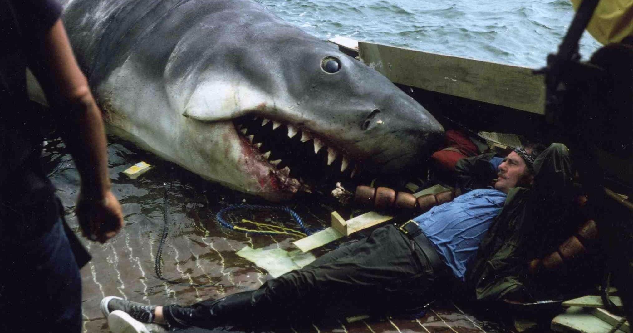 Never-Before-Seen Jaws Set Photos Unearthed from Martha's Vineyard